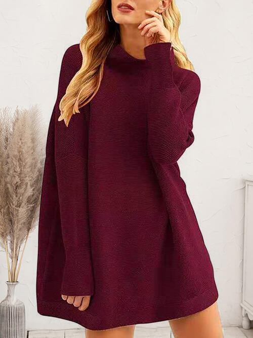 Round Neck Long Sleeve Sweater Dress [Spirit and Rebel] Wine S 