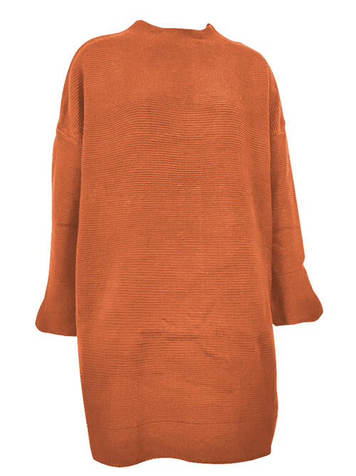 Round Neck Long Sleeve Sweater Dress [Spirit and Rebel]   