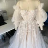 S21b037b8ae9f4cbdbb5b4364949ce6a41.webp Romantic Pink Embroidered Bridal Gown with Floral Accents
