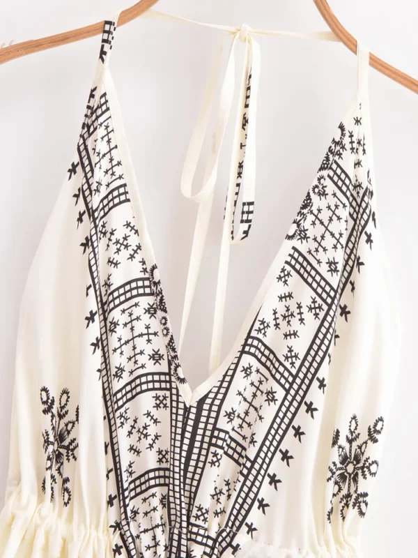 S7d3e9740ac71490fa2a313b180d0172fX.webp Desert Bloom: Floral Print Backless Halter Maxi with Tassel Hem