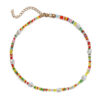 H2eb38939f0aa4db4a8d0093e1f9dbf8dn Bohemian Shell Choker Necklace