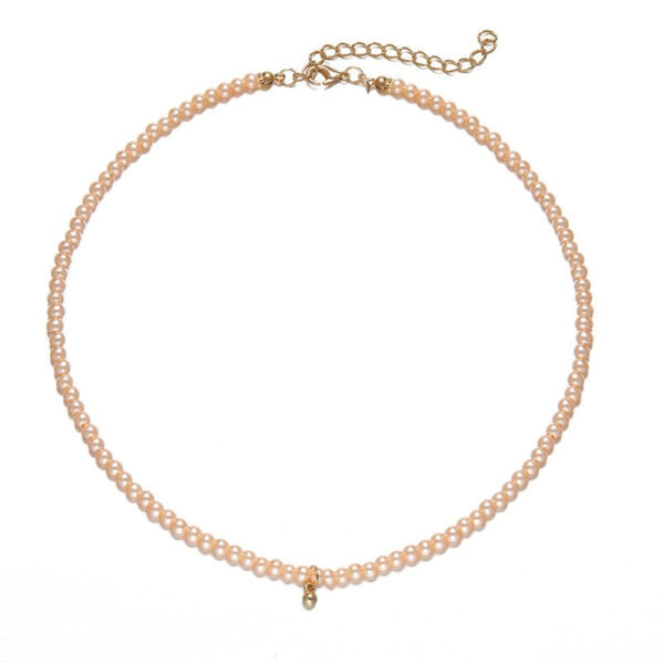 H557b4ca1398d4153b949865406afbd3at Bohemian Shell Choker Necklace