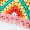 Hfa0ddd2f46934ac5ab646957ab656f254 Spirit and Rebel Handmade Crochet Tank Top